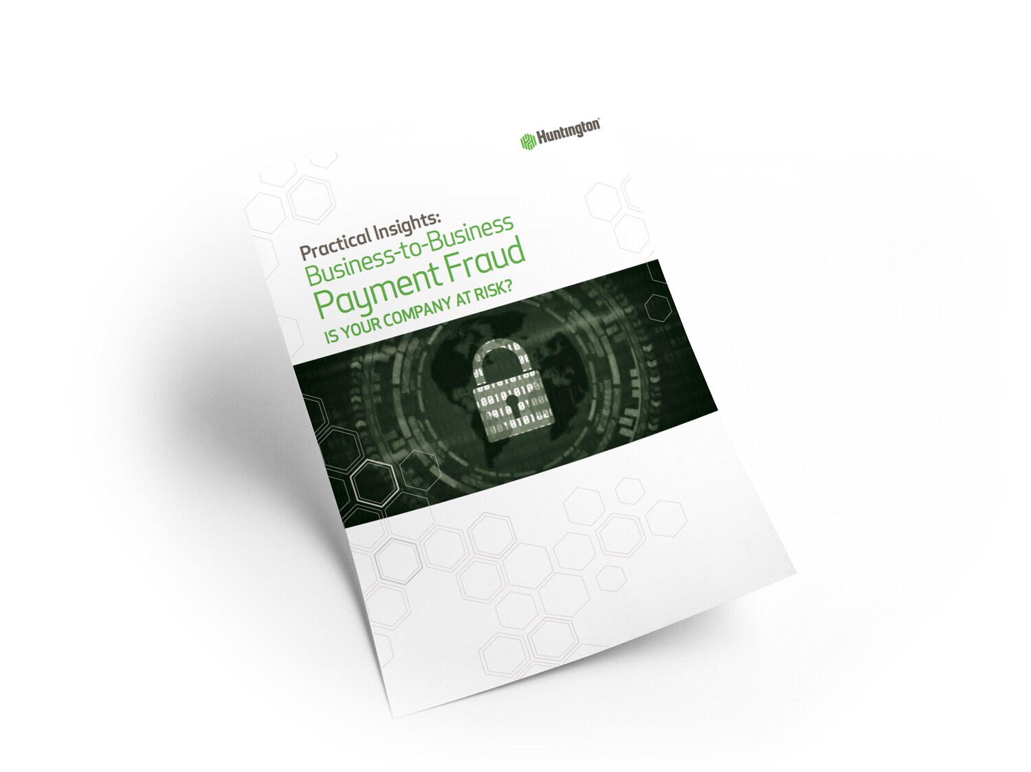Payment Fraud White Paper