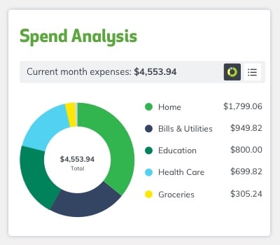 Spend Analysis view