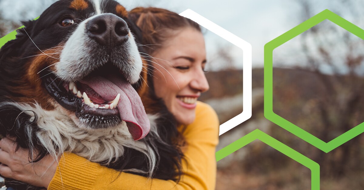 Getting A New Puppy Or Kitten Can Be Exciting And Expensive Huntington Bank