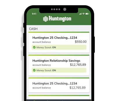 Mobile Money Scout Turned On view